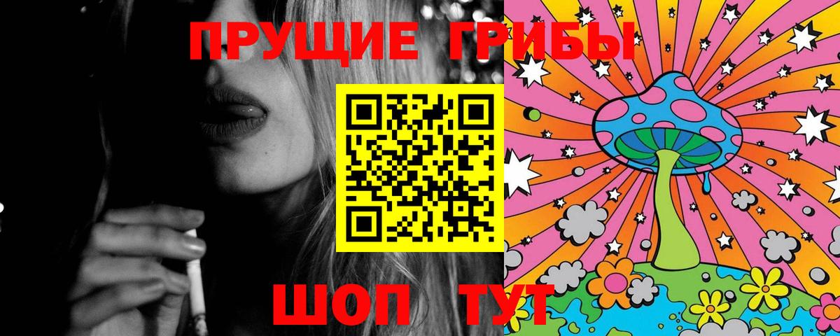 Псилоцибиновые грибы Psilocybe Бузулук