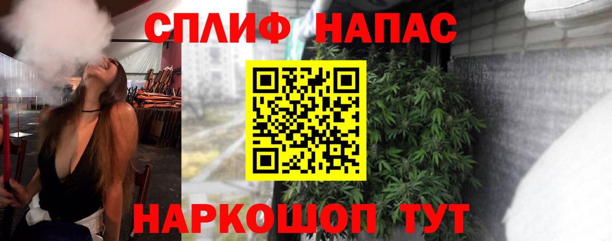 Конопля сатива Бузулук